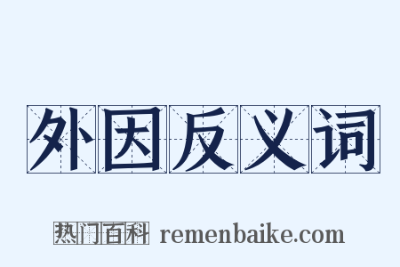 外因反义词是什么意思的图片